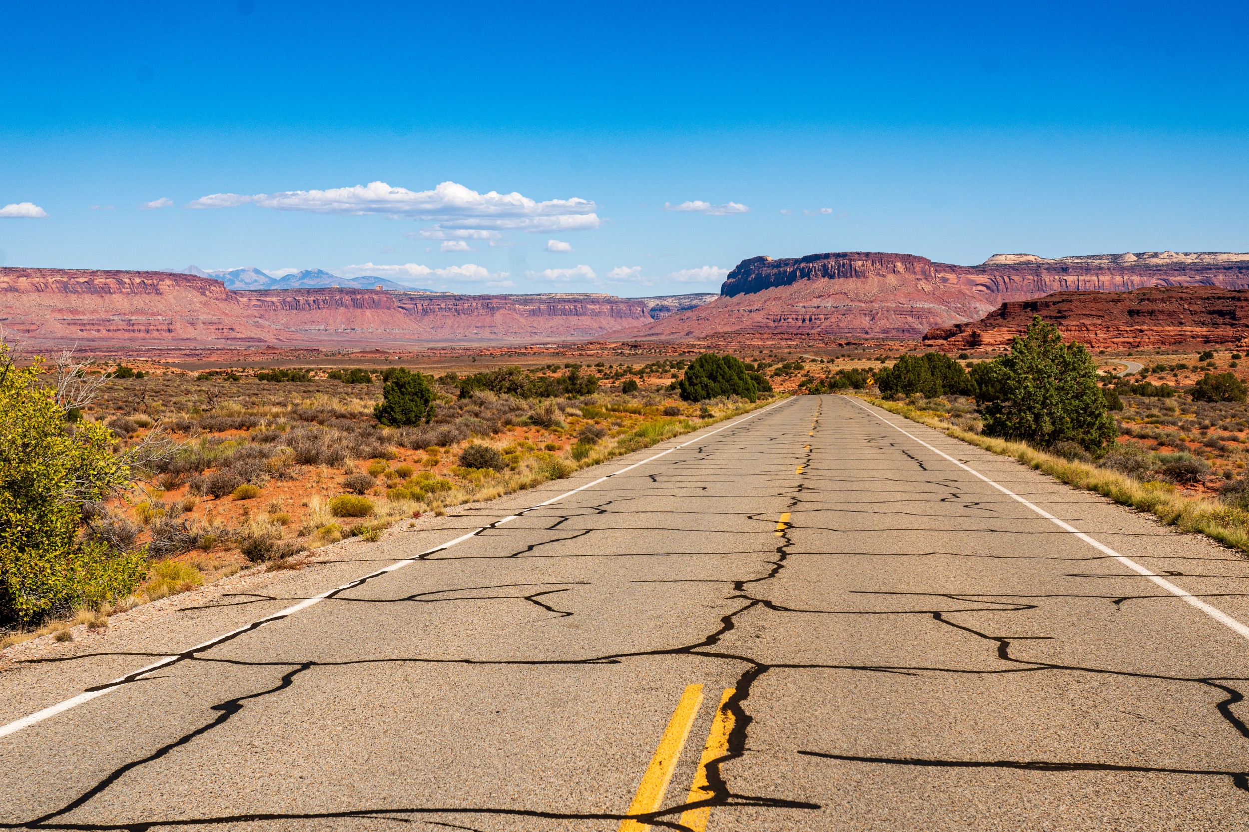 USA 2024 5 Sterne 90